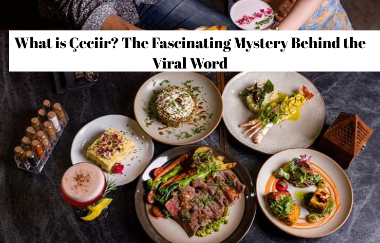 What is Çeciir? The Fascinating Mystery Behind the Viral Word